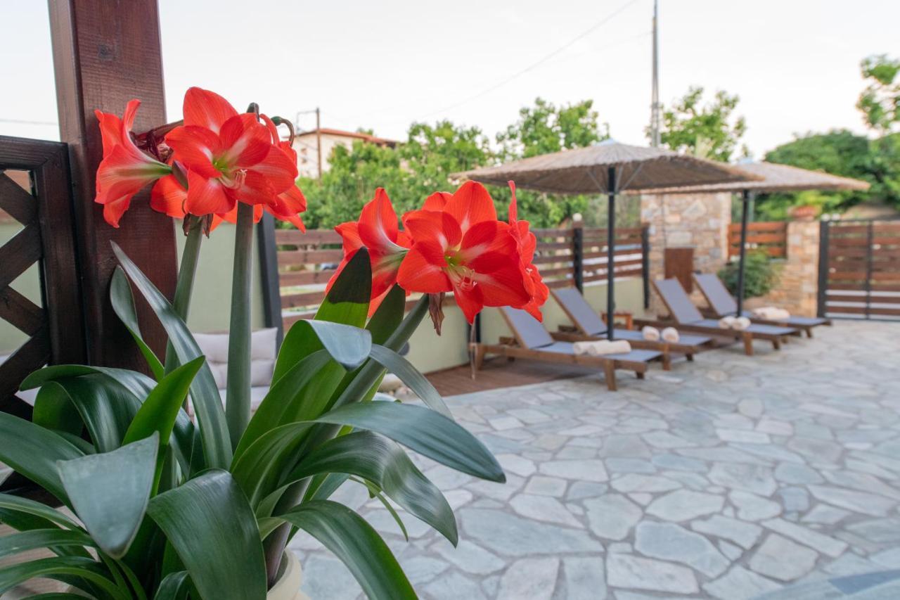 Villa Filyra Kato Gatzea Exterior foto